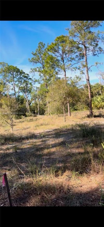 2112 Irving Ave , Lehigh Acres, FL 33920 Photo