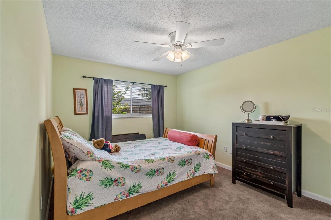 4733 Ridge Point Drive , Tampa, FL 33624 Photo