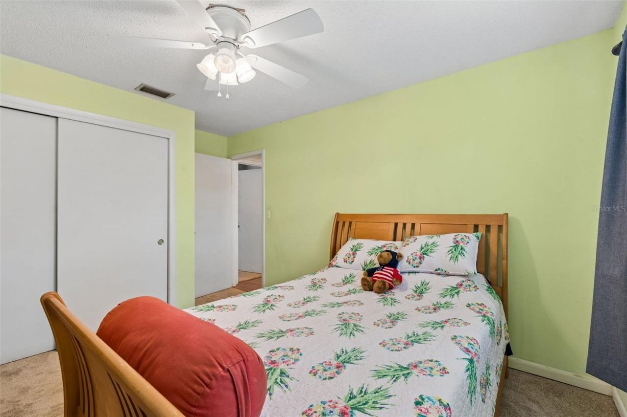 4733 Ridge Point Drive, Tampa, FL 33624 Photo