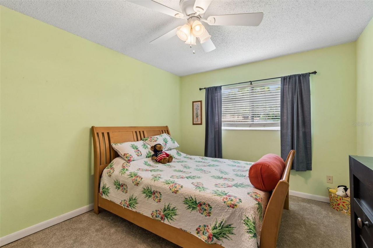 4733 Ridge Point Drive, Tampa, FL 33624 Photo