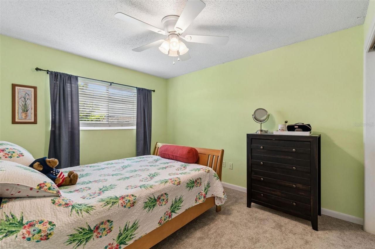 4733 Ridge Point Drive, Tampa, FL 33624 Photo