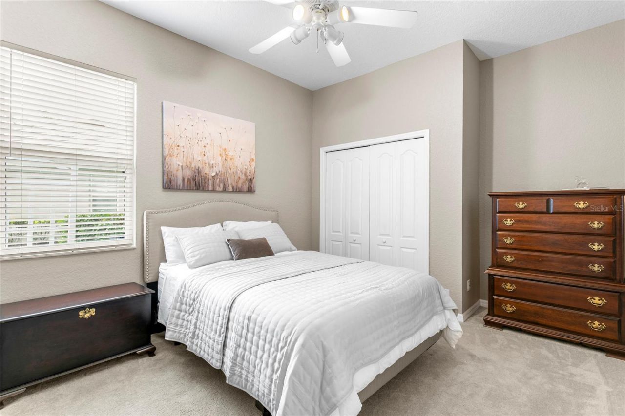 10237 Garden Alcove Drive, Tampa, FL 33647 Photo