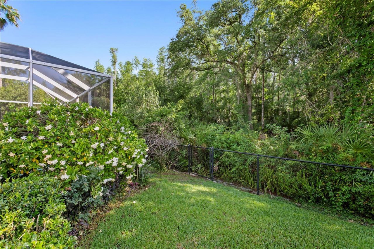 10237 Garden Alcove Drive, Tampa, FL 33647 Photo