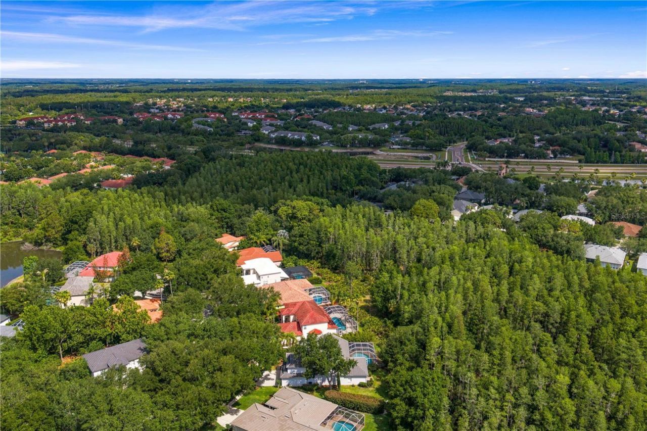 10237 Garden Alcove Drive, Tampa, FL 33647 Photo