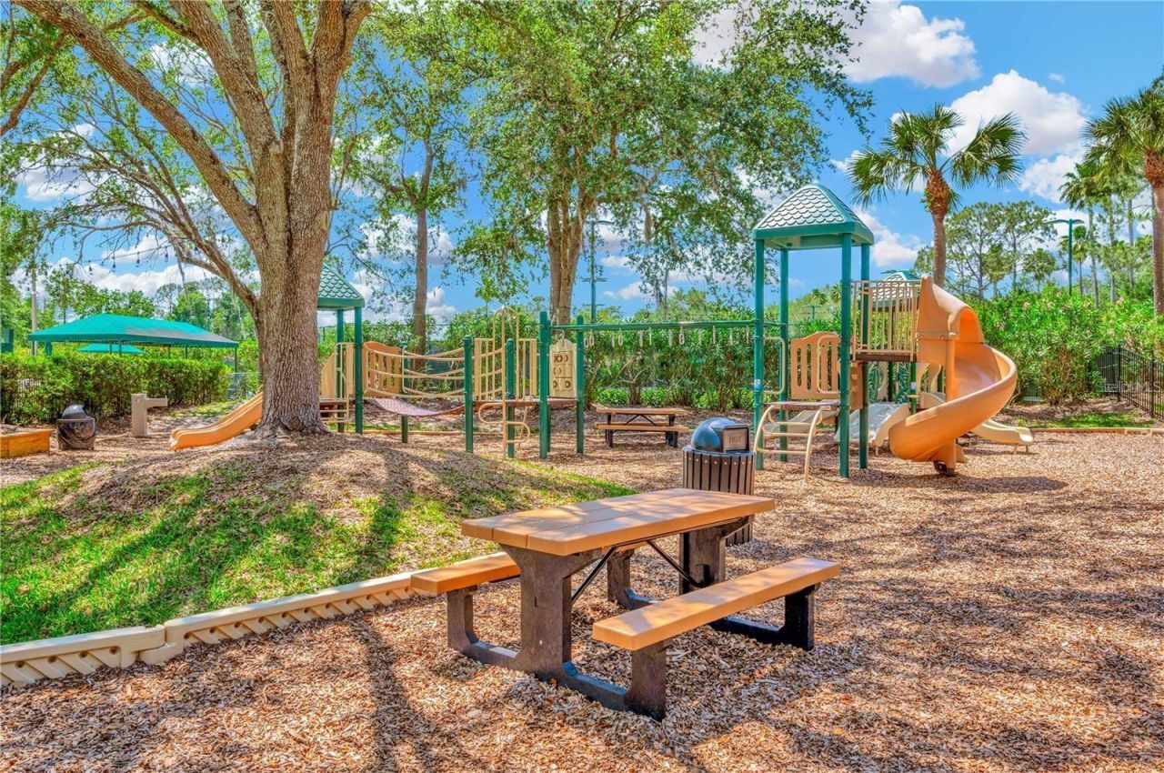10237 Garden Alcove Drive, Tampa, FL 33647 Photo