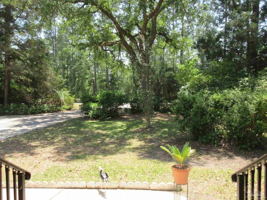 Property Image 49