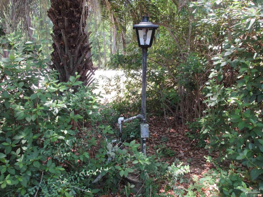 Property Image 61