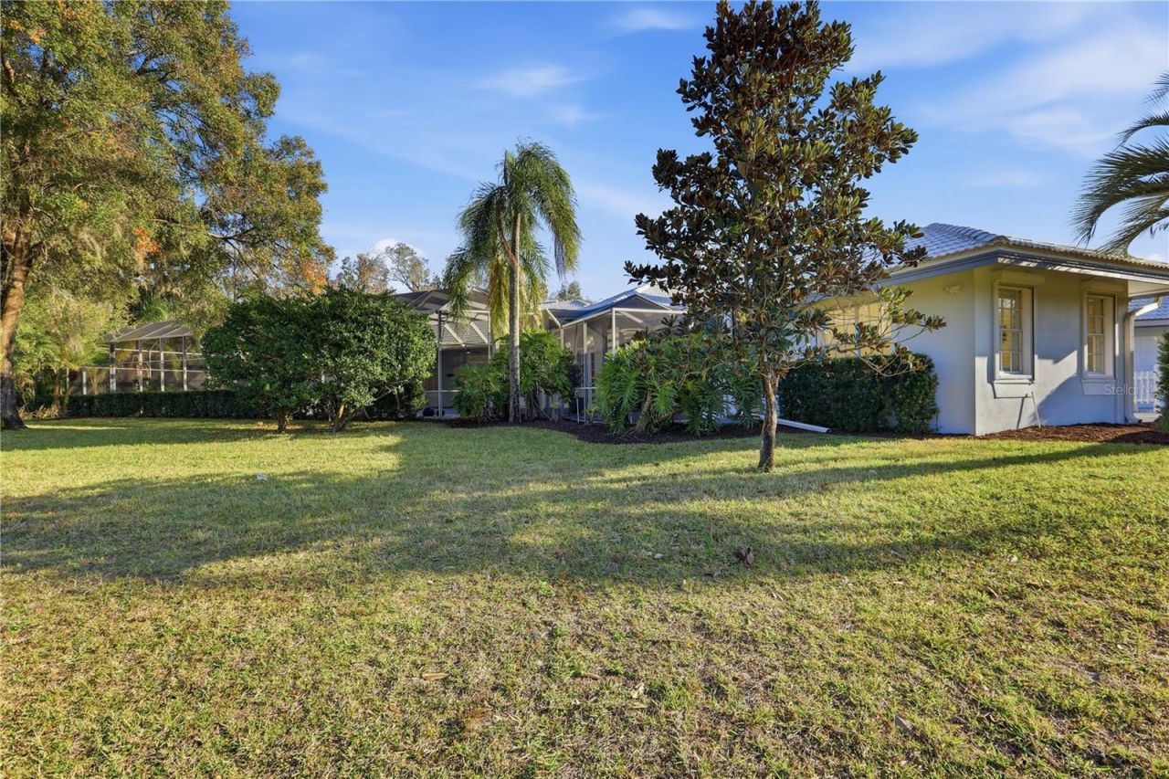 466 Tall Oak Trail, Tarpon Springs, FL 34688 Photo