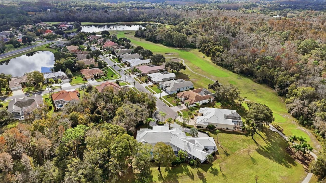466 Tall Oak Trail, Tarpon Springs, FL 34688 Photo