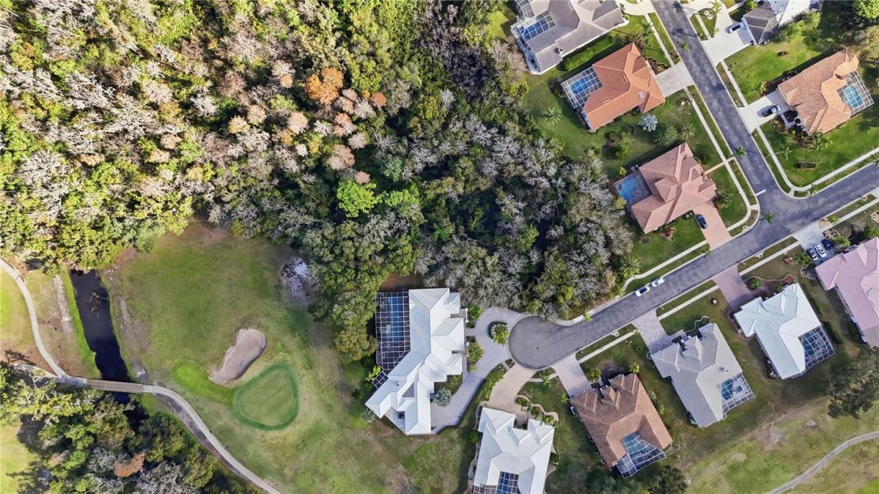 466 Tall Oak Trail, Tarpon Springs, FL 34688 Photo