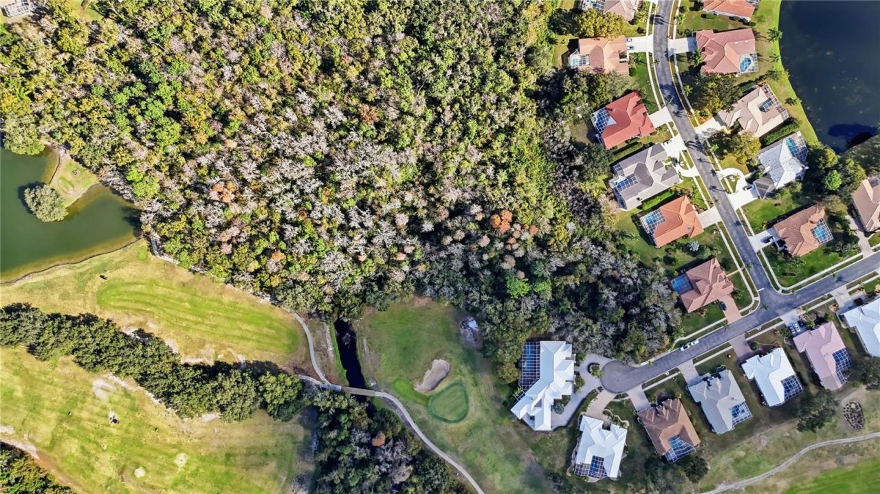 466 Tall Oak Trail, Tarpon Springs, FL 34688 Photo