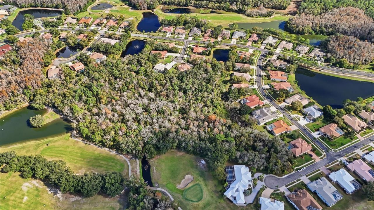 466 Tall Oak Trail, Tarpon Springs, FL 34688 Photo