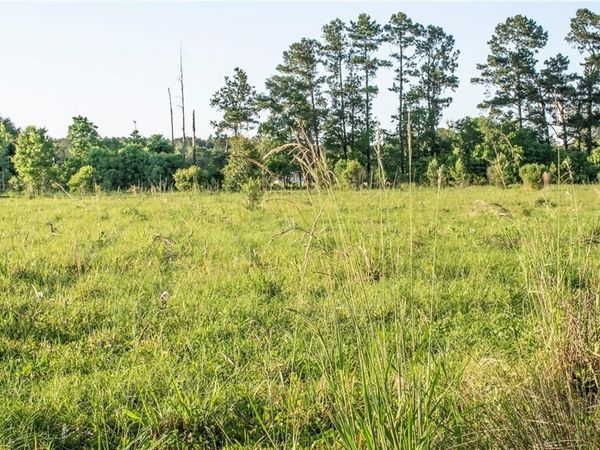 HENRY WHITE Road , Albany, LA 70711