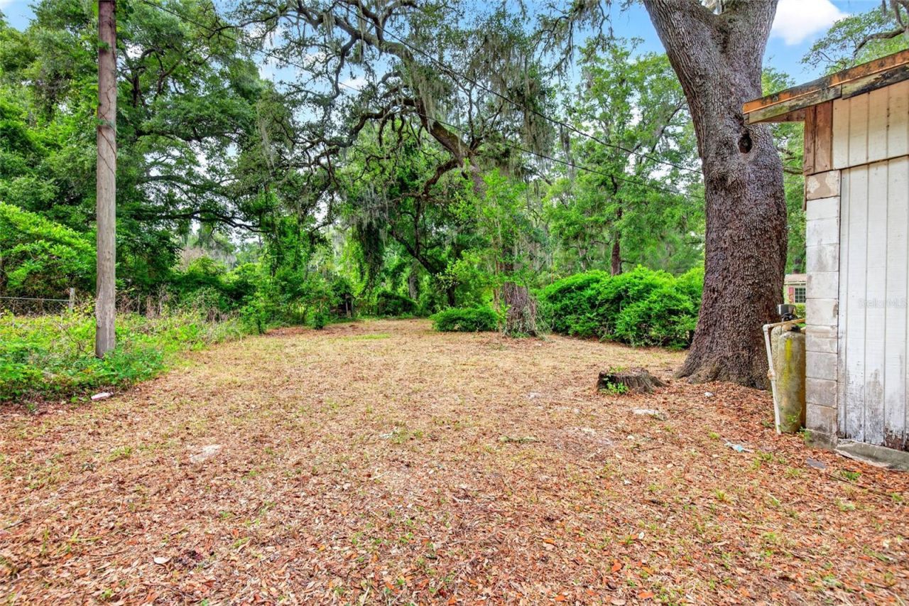 15176 NE 154th Lane , Fort Mc Coy, FL 32134 Photo