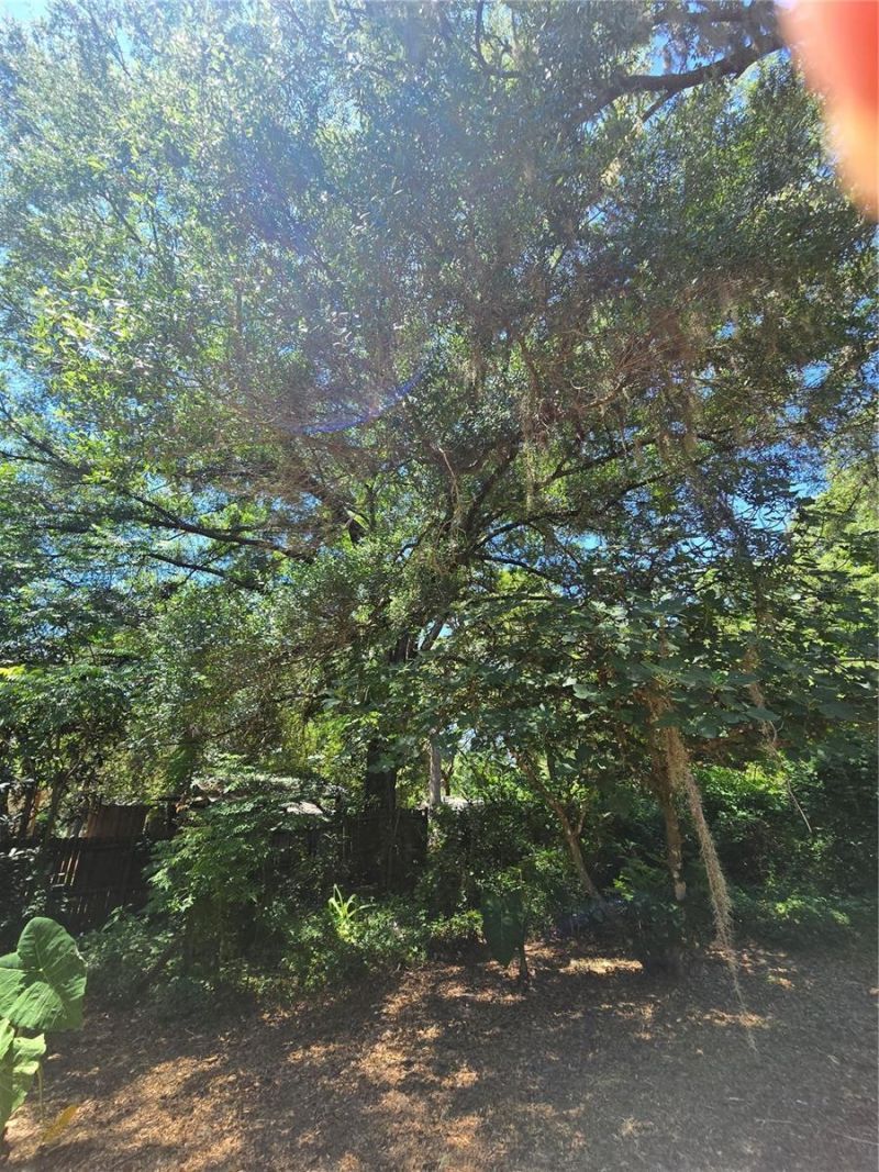 15176 NE 154th Lane , Fort Mc Coy, FL 32134 Photo