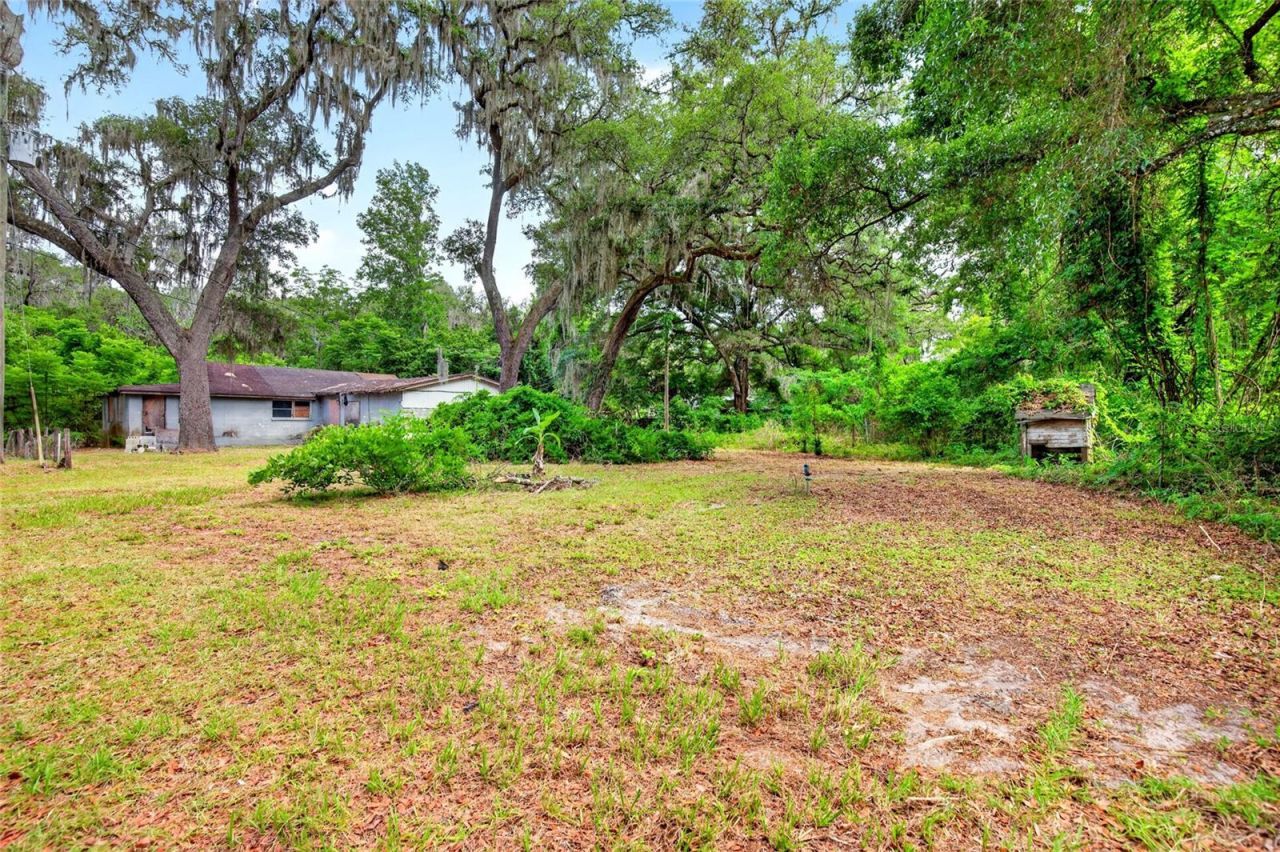 15176 NE 154th Lane , Fort Mc Coy, FL 32134 Photo