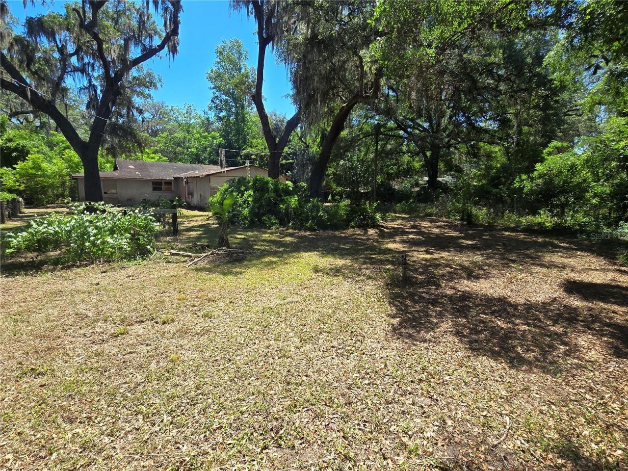 15176 NE 154th Lane , Fort Mc Coy, FL 32134 Photo