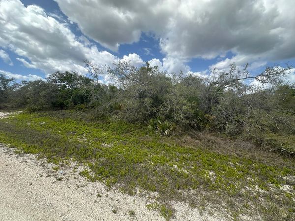 130 VAGABOND AVENUE , LAKE PLACID, FL 33852