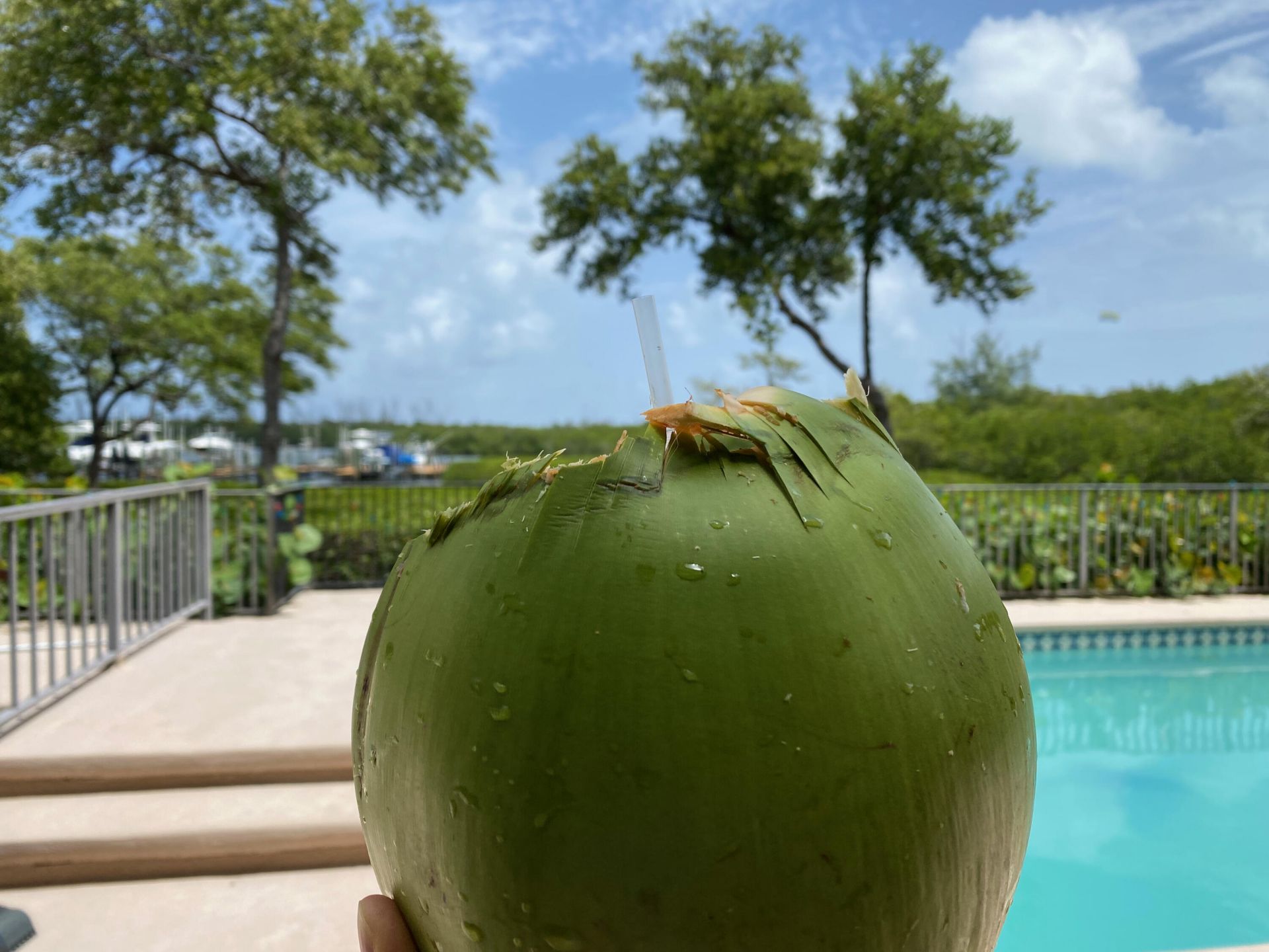 8902 SE Marina Bay Drive, Hobe Sound, FL 33455 Photo