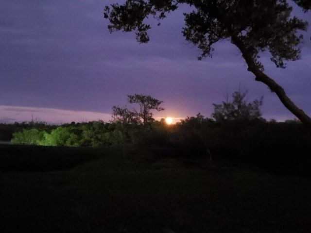 8902 SE Marina Bay Drive, Hobe Sound, FL 33455 Photo