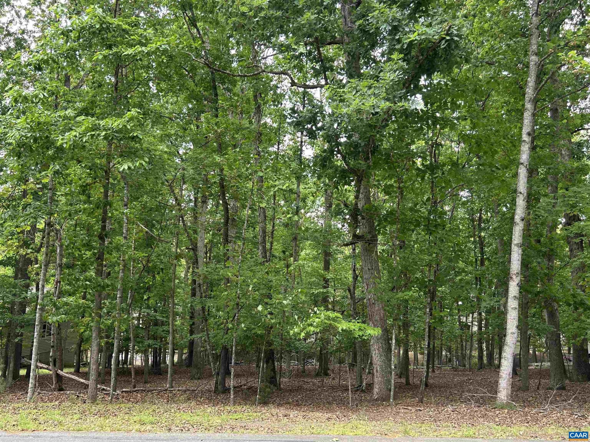 25 Laguna Rd, Palmyra, VA 22963 Main Photo