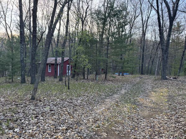 9075 S Larson Avenue, Baldwin, MI 49304