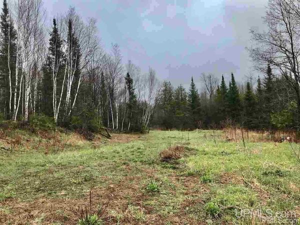 TBD S Co Rd 519 Highway, Bessemer Twp, MI 49911