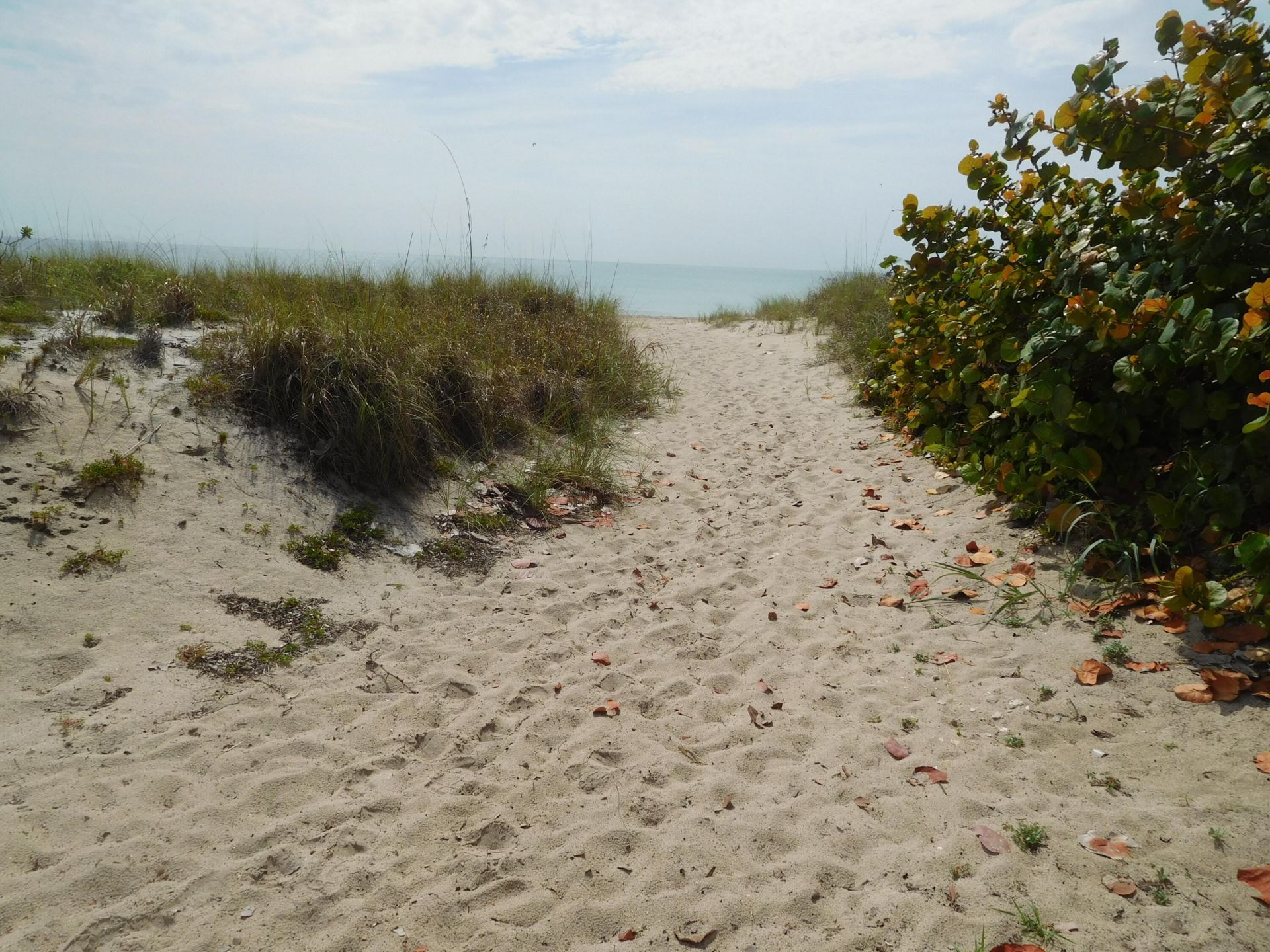 1770 S Ocean Boulevard S, Unit 704, Lauderdale by the Sea, FL 33062 Photo