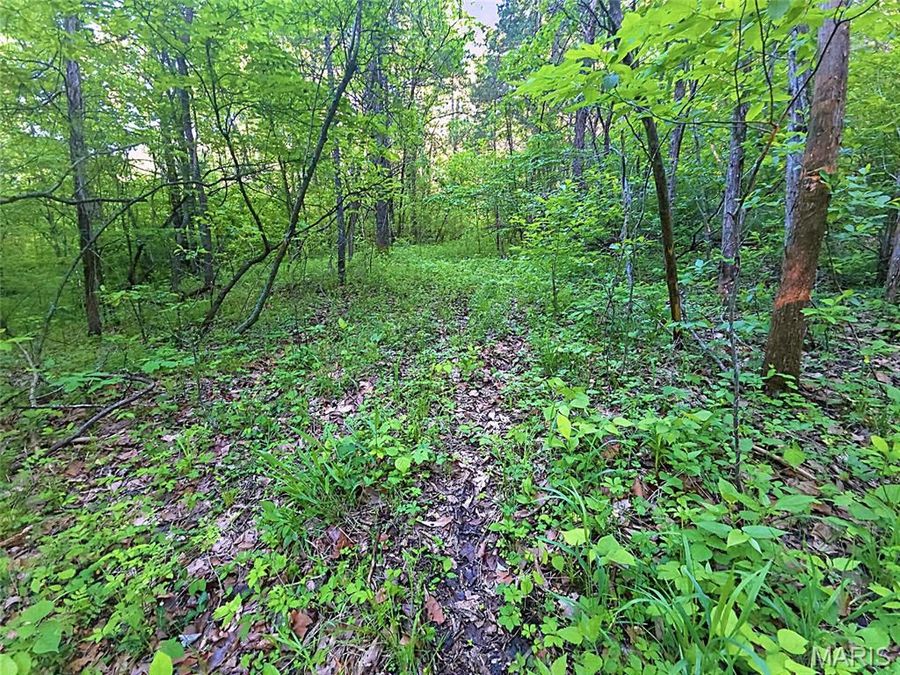 Property Image 33