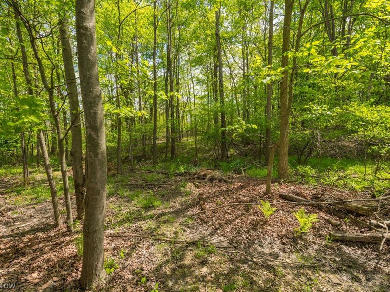 16825 Walnut Creek Drive, Strongsville, OH 44149 Photo 34