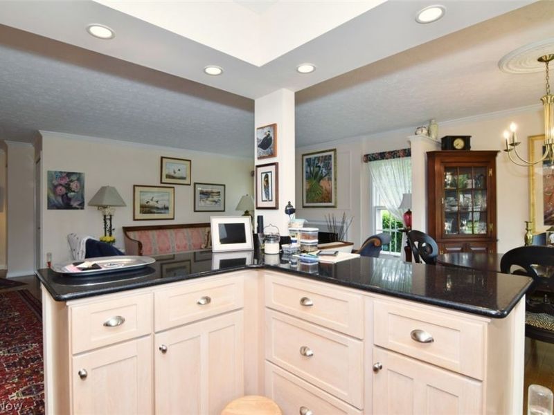 34100 Chagrin Boulevard Boulevard, Unit 1101, Moreland Hills, OH 44022 Photo 7