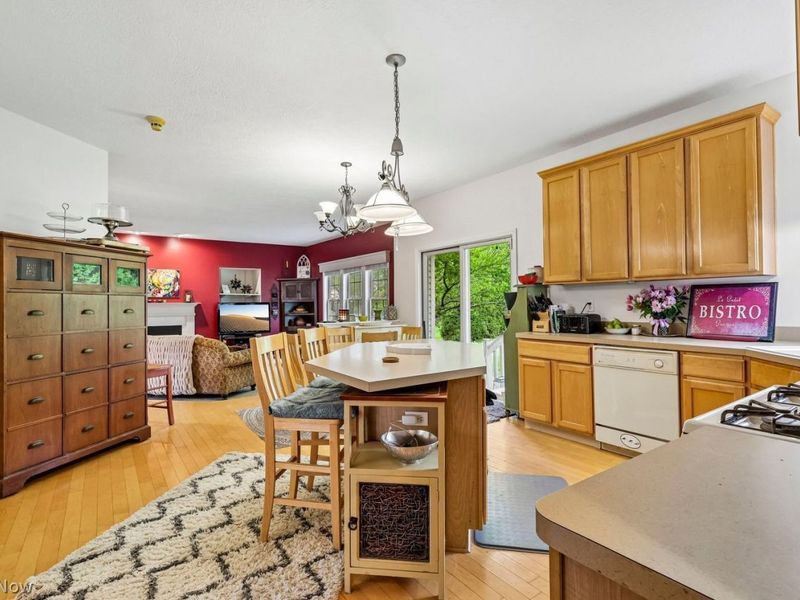 4428 Wyndham Way, Akron, OH 44321 Photo 9