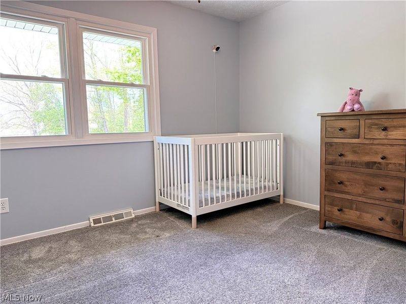 10239 Mulberry Road, Chardon, OH 44024 Photo 29