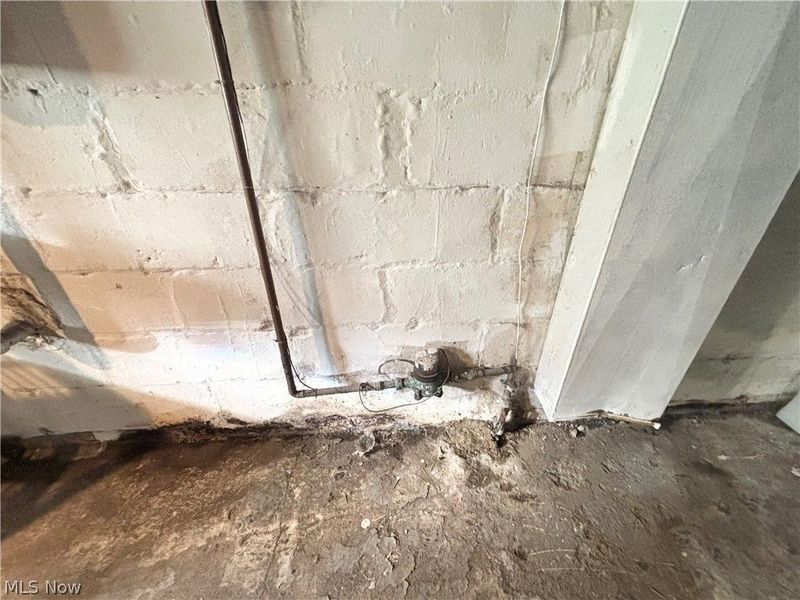 2175 W 106th Street, Cleveland, OH 44102 Photo 46
