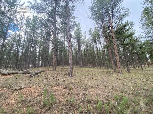 60 Pickens Road, Florissant, CO 80816