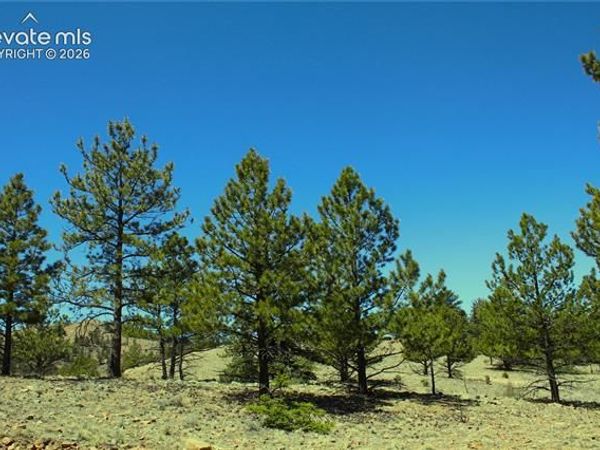 12451 Us-24 Highway, Hartsel, CO 80449
