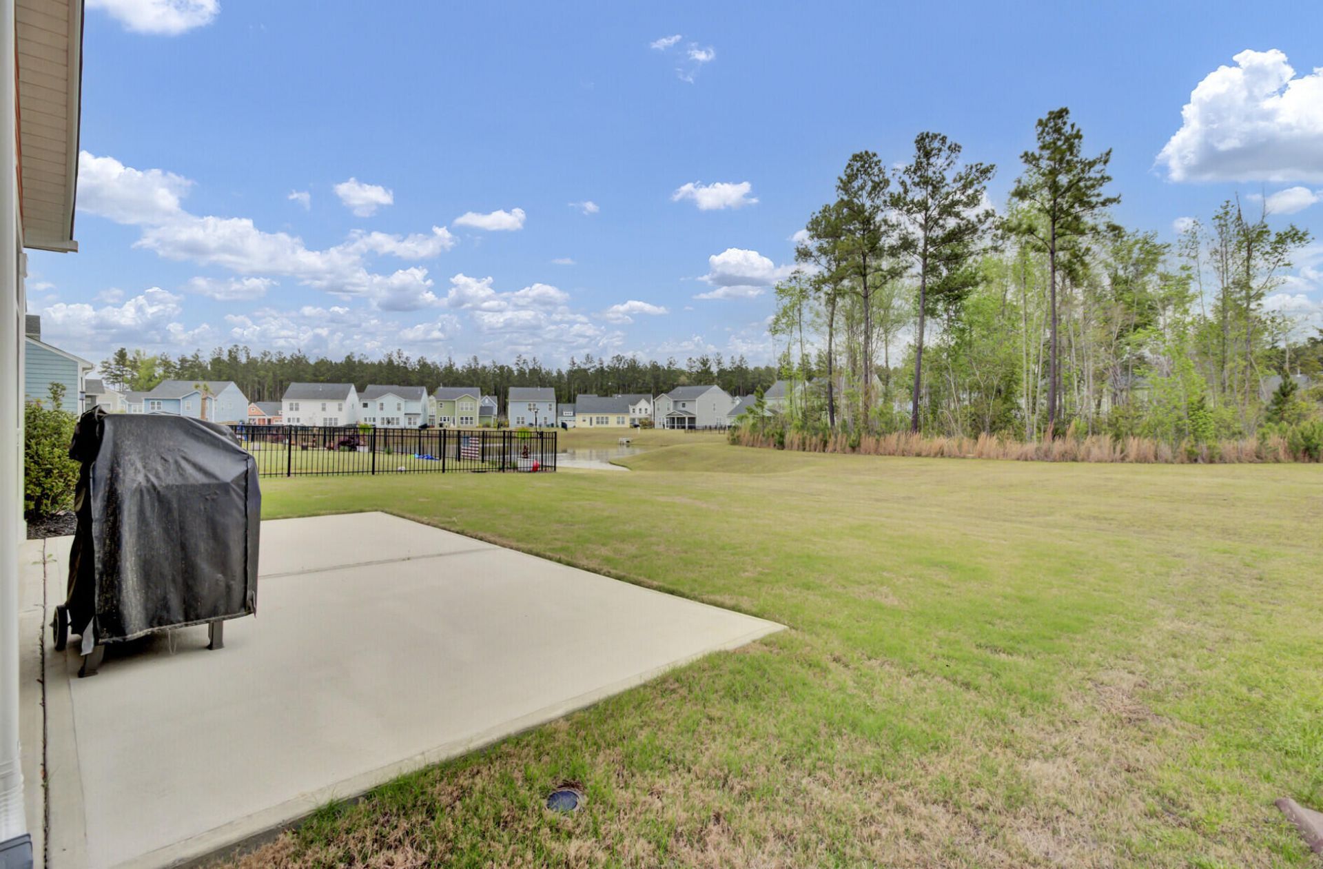 1087 Magnolia Warbler Way Photo 53