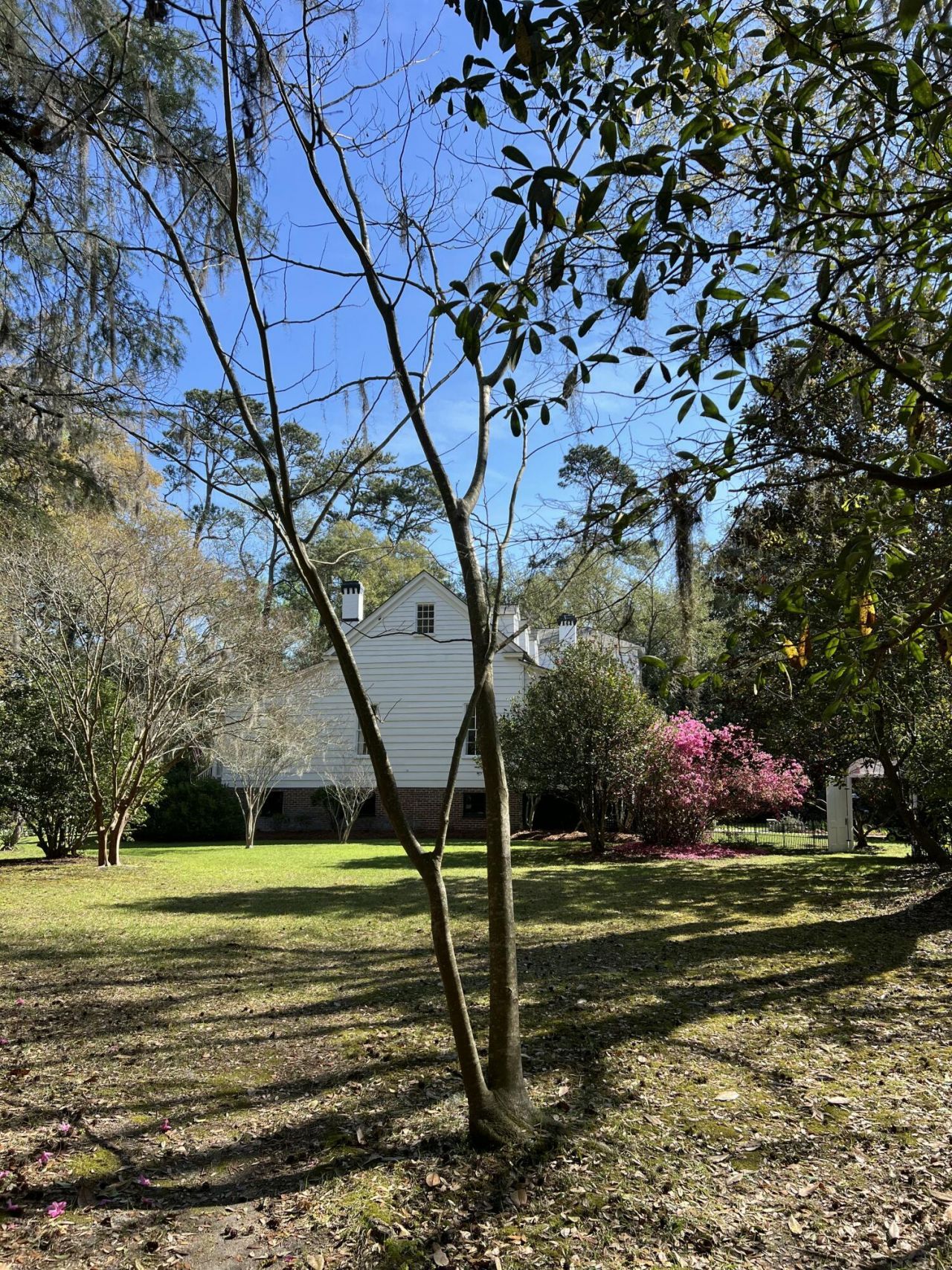 517 W Carolina Avenue Photo 91