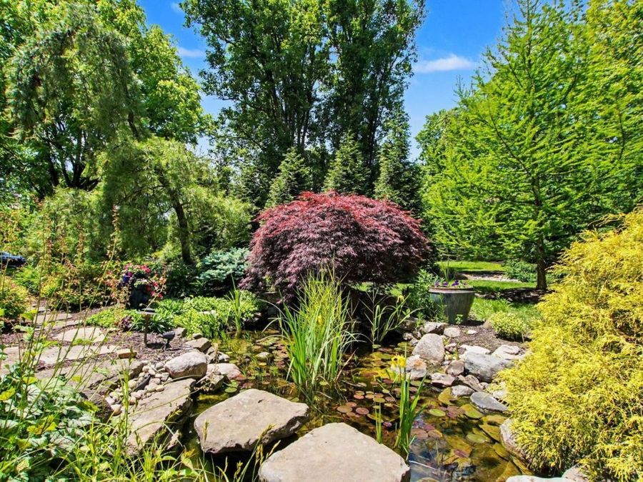 Property Image 39