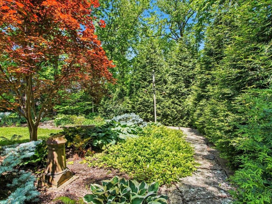 Property Image 41