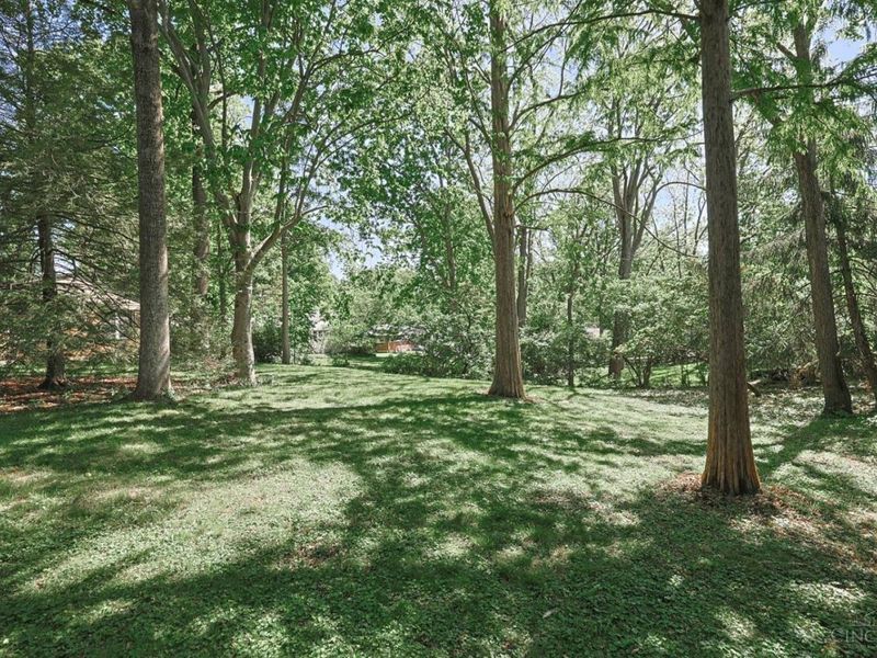 7401 N Timberlane Drive, Madeira, OH 45243 Photo 28
