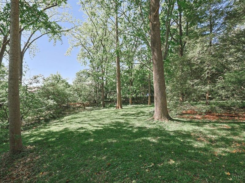 7401 N Timberlane Drive, Madeira, OH 45243 Photo 29
