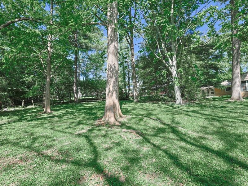 7401 N Timberlane Drive, Madeira, OH 45243 Photo 31