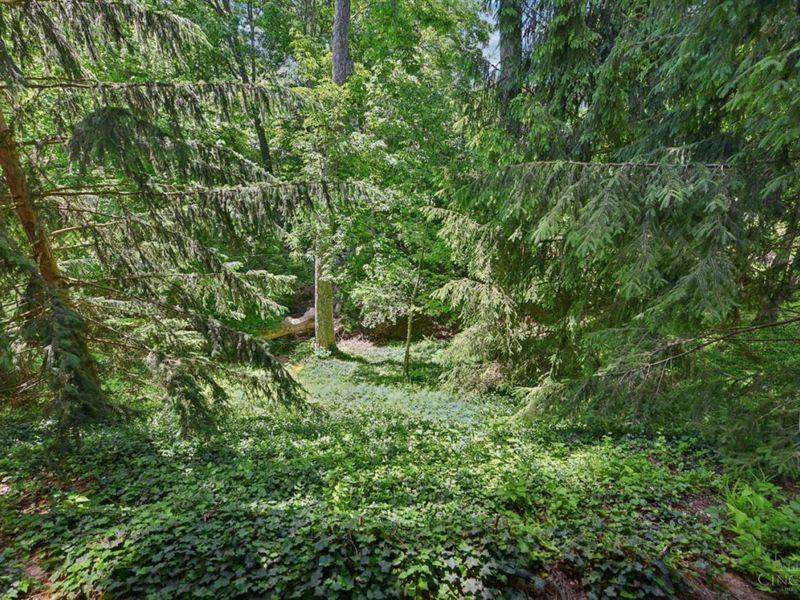 1211 Herschel Woods Lane, Cincinnati, OH 45208 Photo 42
