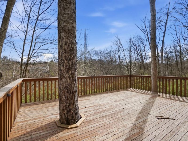 873 Miami Ridge Drive, Loveland, OH 45140 Photo 85
