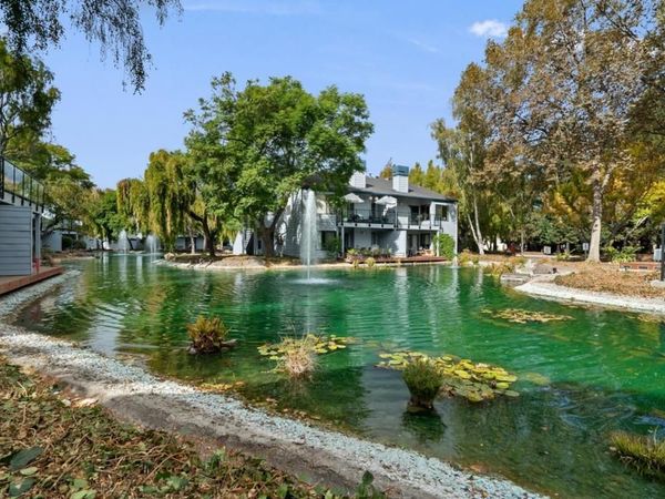 905 W Middlefield Road, Unit 982, Mountain View, CA 94043