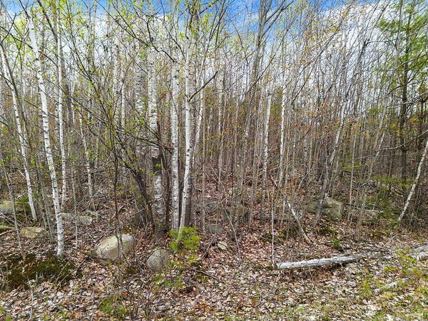Lot #5 Murdock Place , Belgrade, ME 04917