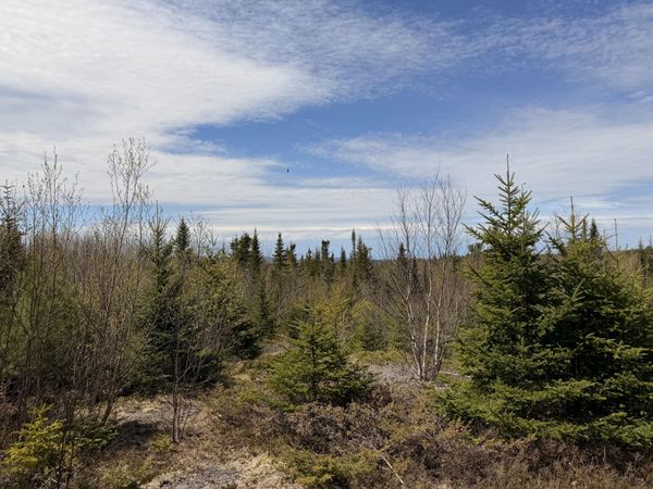 76 Morancy Road , Sullivan, ME 04664
