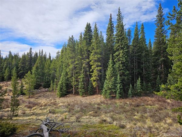 PCS#7765 & 12057 Rollies Trail , Alma, CO 80420