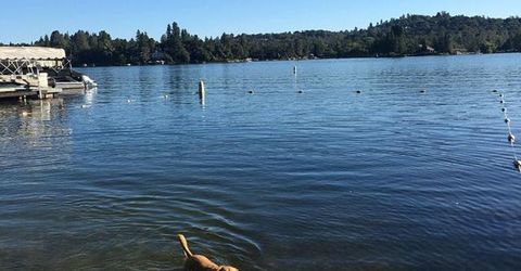 12022 Lakeshore North, Auburn, CA 95602 Photo